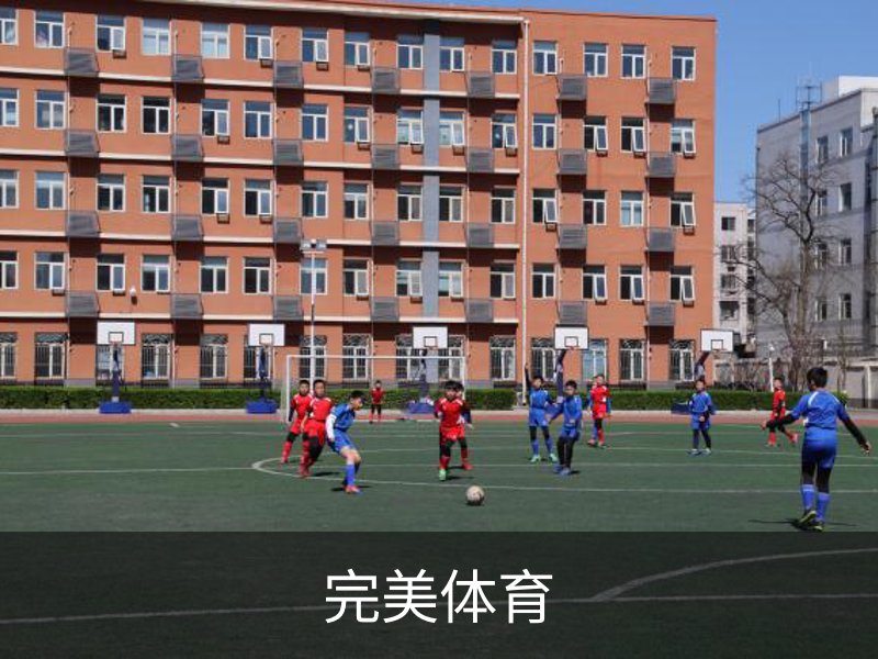 完美体育介绍
